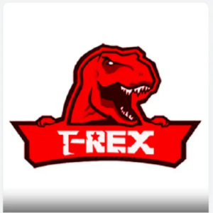 Subtv 12 month 8K 4K iptv trex m3u abonnement subscription german Trex megaott crystal panel account reseller panel