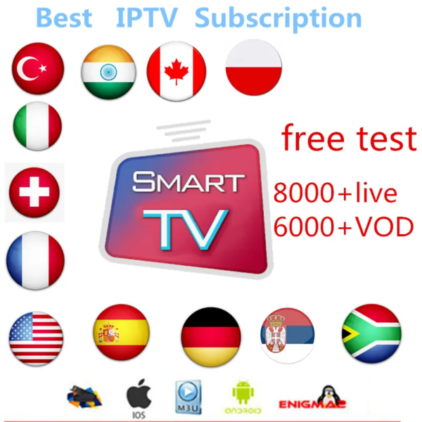 Subtv 12 month 8K 4K iptv trex m3u abonnement subscription german Trex megaott crystal panel account reseller panel - Image 4