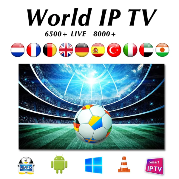 Subtv 12 month 8K 4K iptv trex m3u abonnement subscription german Trex megaott crystal panel account reseller panel - Image 5